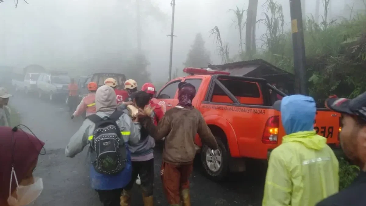 Longsor Pekalongan: 17 Tewas, 9 Orang Masih Hilang